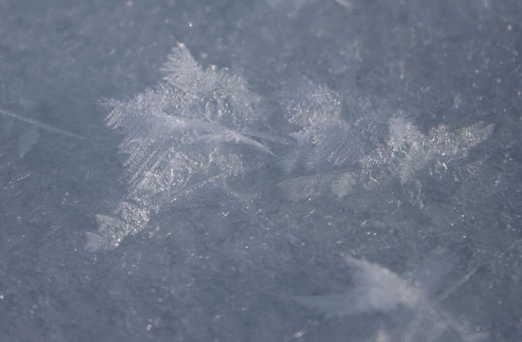 Chapitre IV: Variations journalières de la surface spécifique de la neige de surface à Dôme C dessus de la glace et donc la vitesse de croissance, on peut observer des aiguilles ou des dendrites.