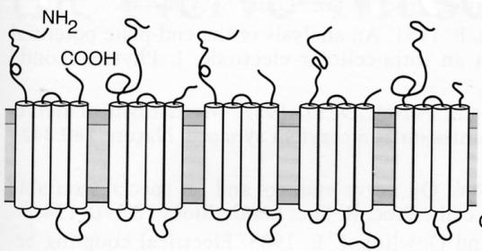 ropriété de la Faculté de Médecine, 3 Récepteurs membranaires couplés à un canal ionique Signalisation par ouverture et fermeture des canaux membranaires. Système nerveux.