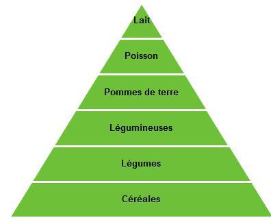 Pyramide alimentaire du régime crétois des années 60 Pyramide alimentaire du régime japonais des années 60 Pyramide alimentaire du régime finlandais des années 60 Document : renforcer une hypothèse à