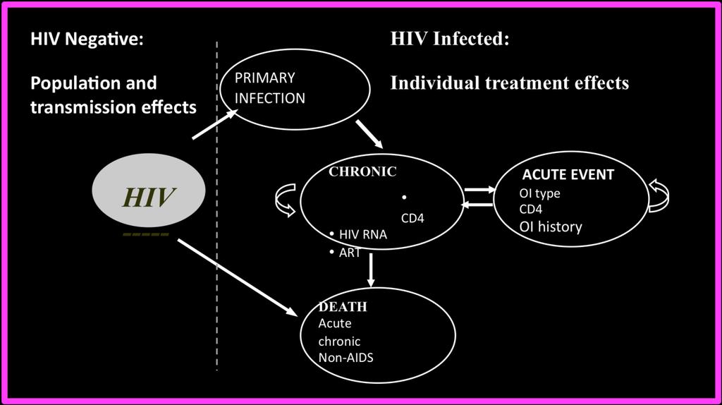 Methods: Mathematical modelling HIV: a