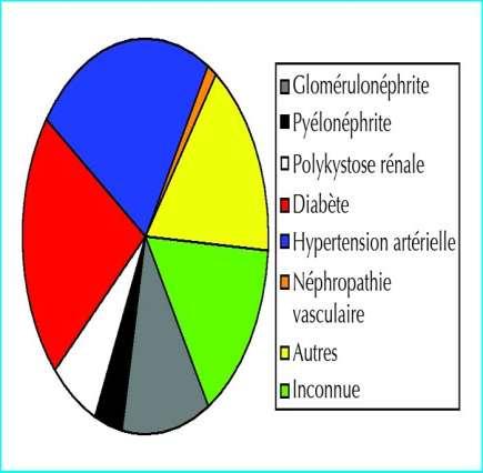 1. néphropathies diabétiques (environ 30 %, essentiellement diabète type 2), 2. néphropathies vasculaires et hypertensives (environ 20 à 25 %), 3. glomérulonéphrites chroniques (environ 10 à 15 %), 4.