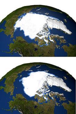 Défi n 4: Les changements climatiques La cause principale du réchauffement climatique : CO 2 émis des combustibles fossiles 1979 Exemple significatif : Le pôle Nord Les changements climatiques
