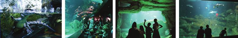 Aquarium de Paris Bienvenue dans un espace unique à Paris dédié à votre évènement.