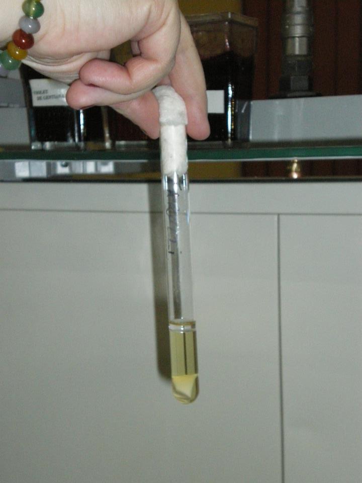 Chapman liquide hypersalé(15%) staphylocoques milieu avec selenite acide de Na Salmonella milieu O.C.S.T.