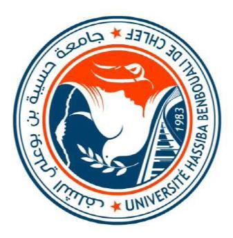 Ministère de l'enseignement Supérieur et de la Recherche Scientifique Université de Hassiba Benbouali CHLEF Faculté des Sciences Exactes et