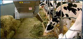 24 VDC Sondes de haut niveau ajustables - Sert les suppléments à chaque vache individuellement - Peut contribuer à augmenter la valeur des composantes