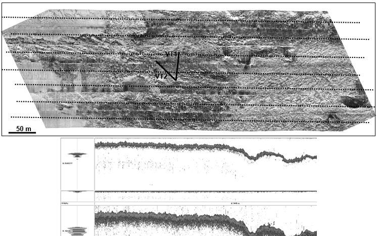 Fig. 4 : En haut : Lieux des vérités terrain à Agde (radiale en forme de V). Les lignes en pointillés correspondent aux radiales réalisées avec le sondeur INNOMAR.