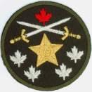 sleeve, with the top of the badge 1 cm below the RCAC badge. Each level of NSE supersedes the previous level.