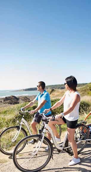 Le tourisme à vélo en vendée Chiffres clés 2016 Fréquentation des pistes cyclables vendéennes d intérêt départemental pendant l année 2016 La Vendée : 1.800 km d itinéraires «Vendée Vélo» 960.