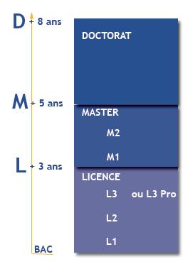 LE LMD : Licence, Master, Doctorat Objectifs du LMD: Lisibilité internationale des diplômes Les équivalences européennes Faciliter la mobilité étudiante Licence : 6