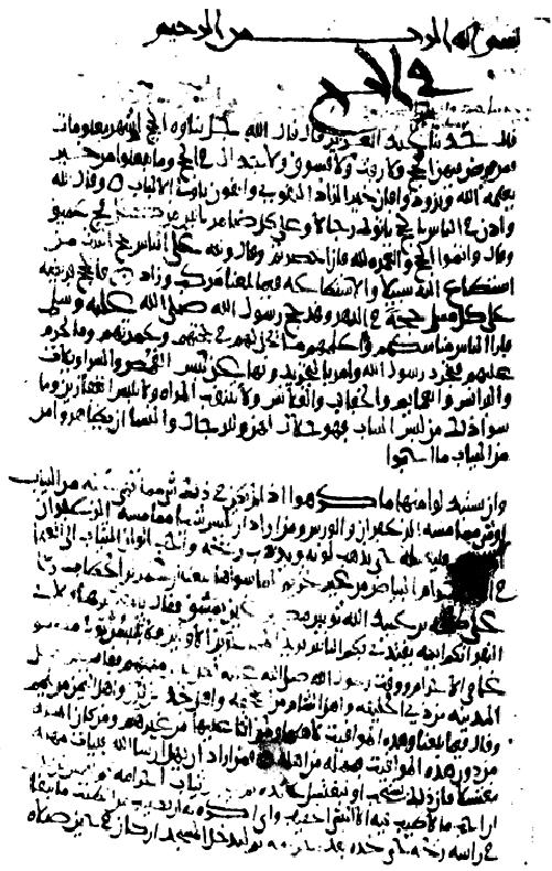 Figure 10 Fonds Raqqāda, ms.