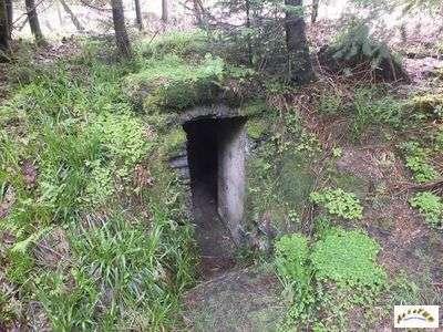 Le bunker au col de l'engin présente un curieux passage surbaissé Les pertes humaines de la bataille du Donon ne sont pas connues avec précision.