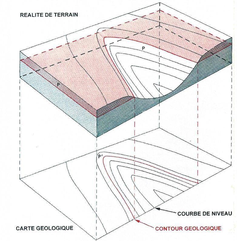Règle n 1 : Lorsque le contour géologique suit les courbes de niveau, la surface géologique correspondante est horizontale mais on ne