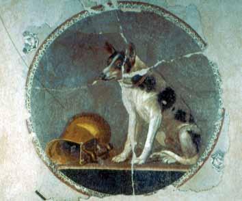 Bien que les restes soient fragmentaires, cette mosaïque illustre un deuxième aspect de l art hellénistique, c est l exotisme, dans la mesure où un blanc et un noir s affrontent, et le pittoresque