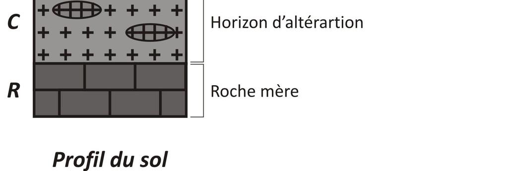 C est un horizon Horizon C : horizon d altération (تحل ل) c est un horizon de transition entre la roche mère et le sol.