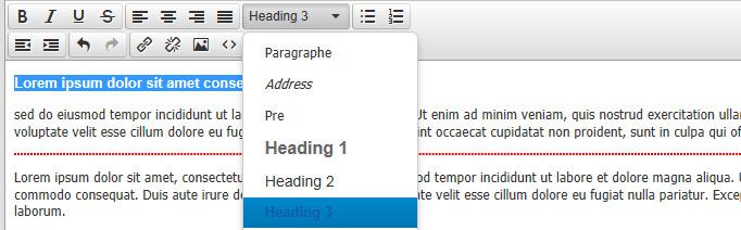faudra lors d'un copier coller, utiliser la fonction «effacer la mise en forme» disponible dans le menu «format» de l'éditeur.