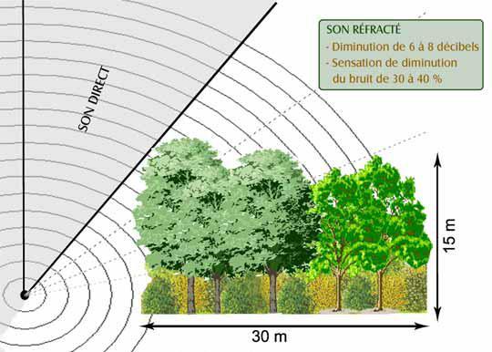 Chapitre 3. Les jardins publics : Usage et pratique Figure 3.7 : La diminution de la pollution sonore Source : Lessard, G et Boulfroy.