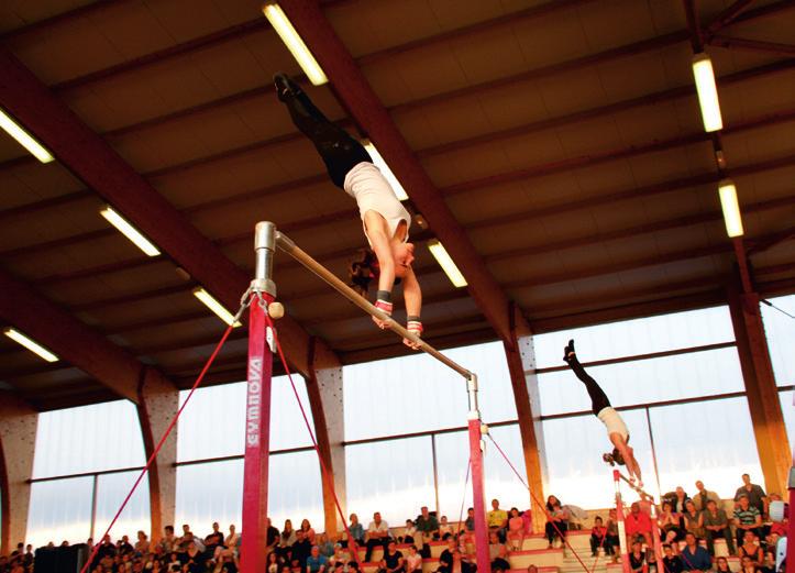poutre. Compétition - Division Régionale Filles nées en 2007 et avant Gymnastes confirmées, 2 entrainements par semaine.