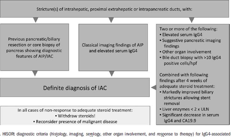 Diagnostic IAC: Critères HISORt