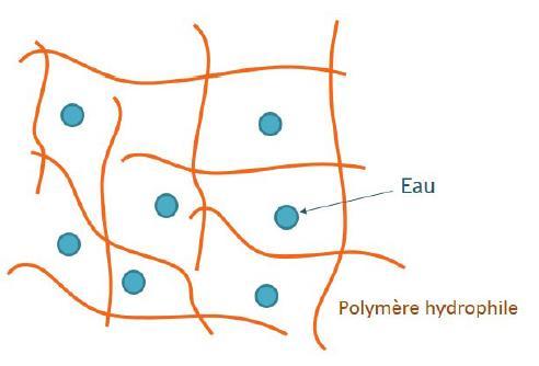 Epaississants non associatifs (gélifiants) : polymères hydrophiles à haut poids moléculaire Les épaississants non associatifs sont utilisés pour apporter de la viscosité à bas gradient de vitesse.