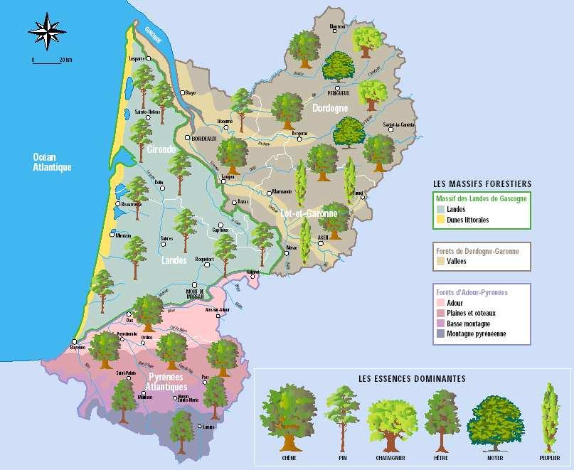1 788 295 ha 44% taux boisement Les milieux forestiers en Aquitaine Forêts privées: 1 600 000 ha env.