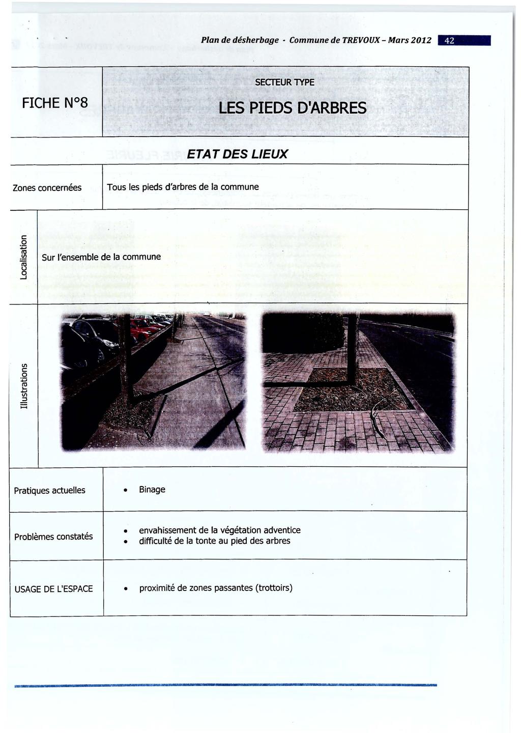 Plan de désherbage Commune de TREVOUX- Mars 2012 - SECfEUR lype les PIEDS D'ARBRES ETAT DES LIEUX Zones concernées Tous les pieds d'arbres de la commune c: 0 :;:::;.