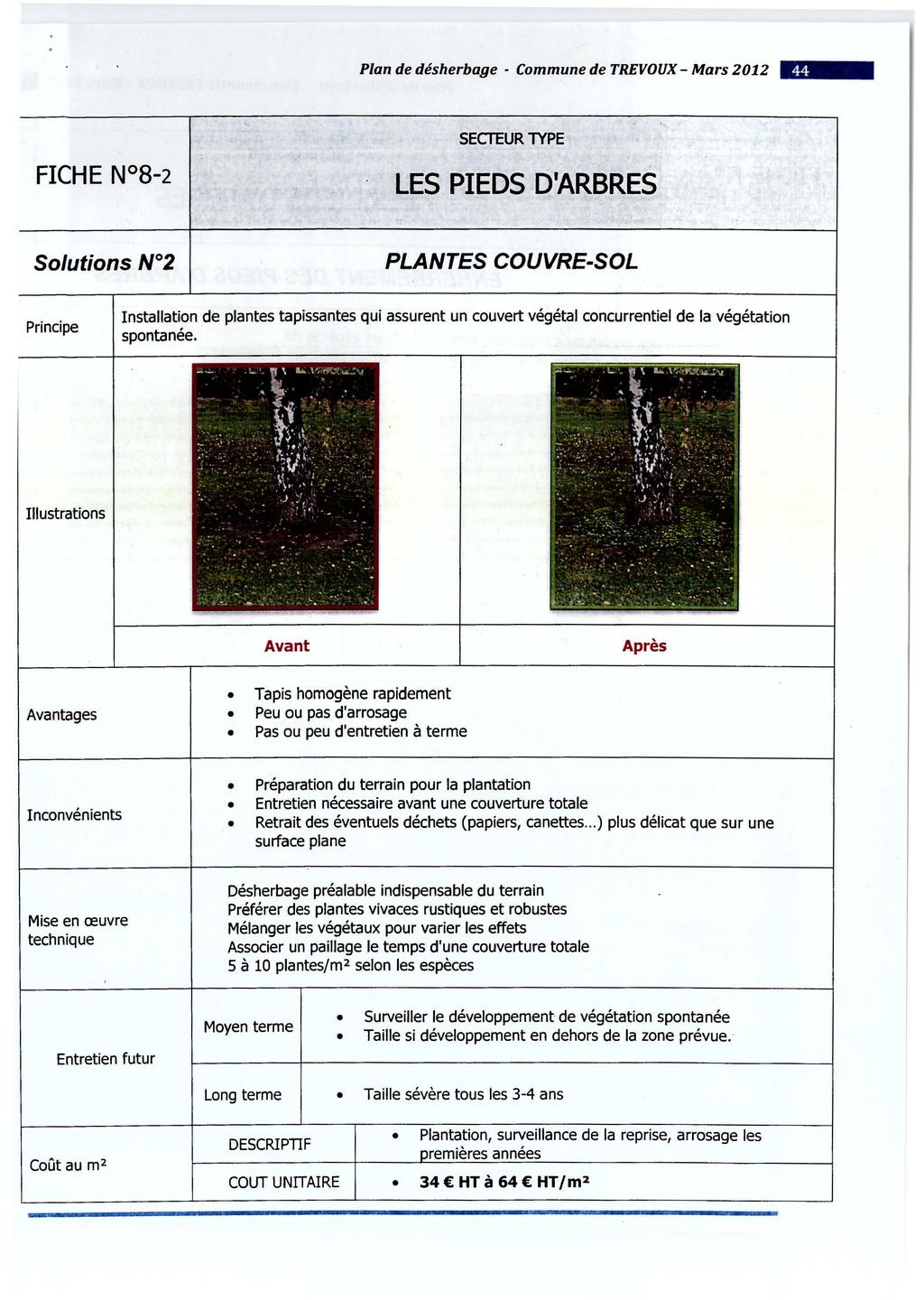 Plan de désherbage - Commune de TREVOUX- Mars 2012 - SECTEUR lype LES PIEDS D'ARBRES PLANTES COUVRE-SOL Principe Installation de plantes tapissantes qui assurent un couvert végétal concurrentiel de