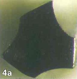 La section de l instrument est triangulaire concave au niveau de la pointe et triangulaire au niveau coronaire (cf. figures 12 et 13) [27].