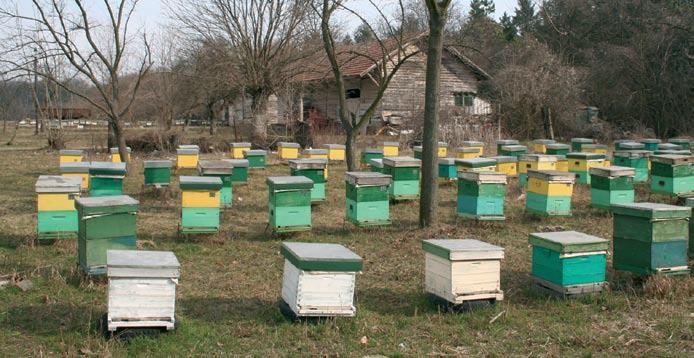 Ceux-ci sont une priorité pour les apiculteurs européens, qui demandent à ce que les produits importés répondent aux mêmes exigences de qualité que ce qui est imposé en Europe, et à ce que cela soit