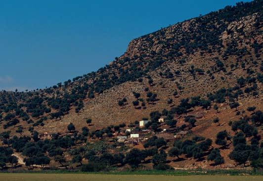 المناطق النباتية الهامة في جنوب و شرق البحر المتوسط. المواقع ذات األولوية للحفظ المالحق الجزء السادس 87 منطقة الحديقة الوطنية إشكل المحيطة ببحيرة إشكل تونس.