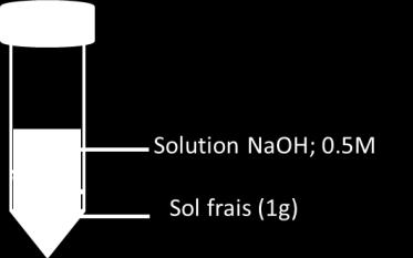Profondeur (cm) Carbone organique et substances humiques extraites par NaOH Extraction d une fraction labile de matière organique Dosage par digestion sulfo chromique du carbone organique dans la