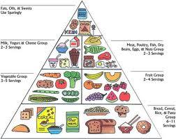LE RÔLE DES DIRECTIVES NUTRITIONNELLES 1. Abordent les aliments comme des nutriments 2.