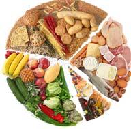 Ce qu il faut retenir, c est qu un repas équilibré est constitué : D une portion de légumes ou de fruit cru, riches en fibres et en vitamines C D une portion de viande, de poisson ou équivalent,