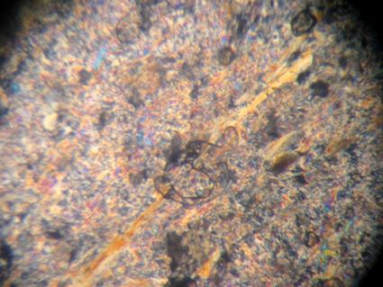 Les autres minéraux présents sont pour l essentiel la chlorite magnésienne en plages polycristallines, quelques cristaux de quartz très petits et peu abondants, et quelques minéraux opaques peu