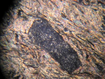 Les fibres de trémolite (incolores en lumière polarisée; de teinte orangée de la fin du 1 er ordre en lumière polarisée analysée) sont de petite taille (quelques microns)