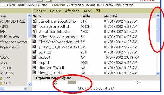 3 of 8 24.02.2004 11:01 Page d accueil NetStorage Il faut noter que la langue de l interface Web devrait correspondre avec la langue du système installé sur votre PC.