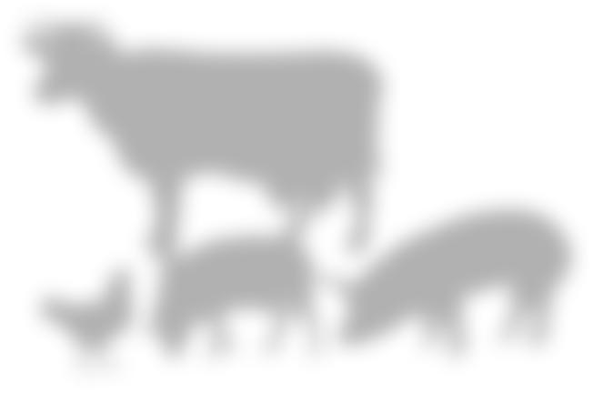 Répartition des aliments du bétail par catégorie en Bourgogne bovins volailles porcins lapins autres 48 % 11 % 1 % 4 % Source : enquête trimestrielle FranceAgriMer sur les aliments du bétail 35 %