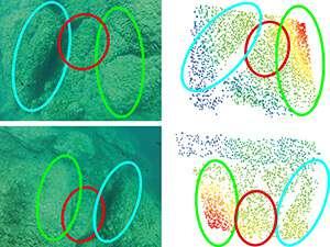 de profil. Les cercles colorés soulignent des profils structurels remarquables pour mieux visualiser le recalage.