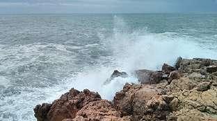 une mer très formée qui nous accueille au Cap de Sète et nous retrouvons le même tableau à notre arrivée au Cap d Agde [cbd L. Avanthey et al.]. Figure B.