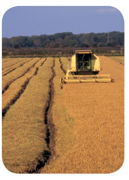 économique et redynamiser les espaces agricoles Lutter contre les friches agricoles Favoriser l accompagnement de l activité agricole