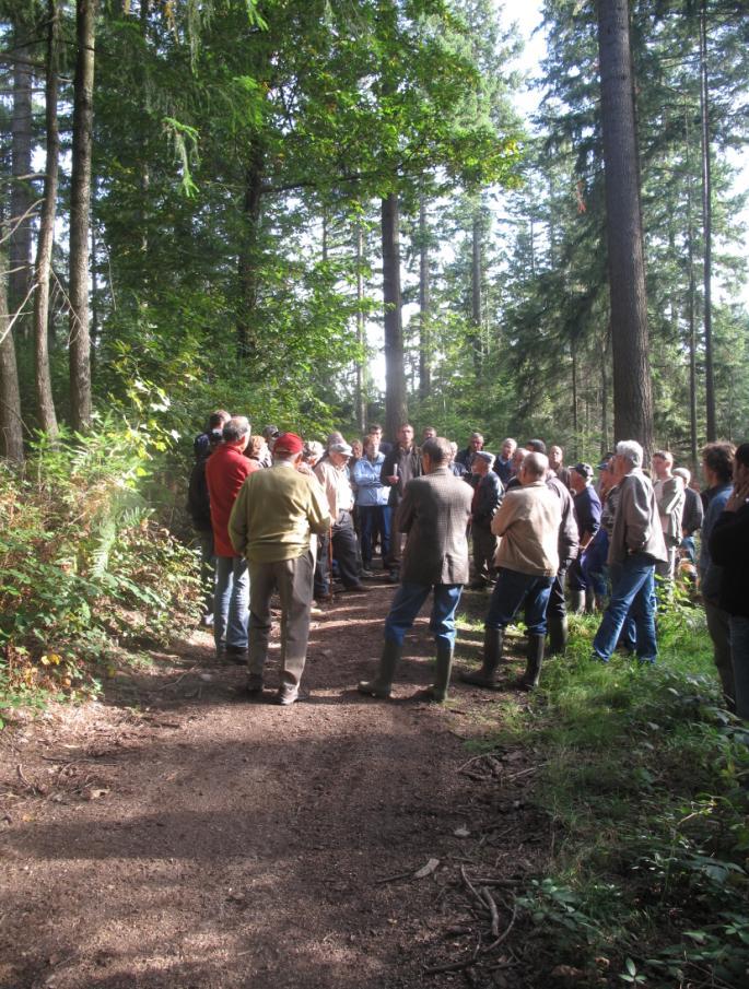 Mesure n 6 : Soutien à des organismes de la filière Forêt/Bois ELIGIBILITE : Convention de partenariat pour 3 ans avec : Inter Forêt Bois 42 Union Forestière de la Loire CONDITIONS : Avoir un