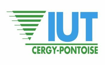 UNIVERSITE DE CERGY-PONTOISE INSTITUT