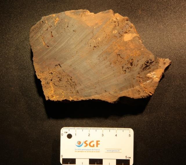 CRMLC030 La Ferrière quartz breccia cut by goethite veins (174 ppm