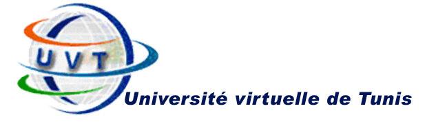 Ministère de l Enseignement Supérieur et des recherches scientifiques Université Virtuelle de Tunis