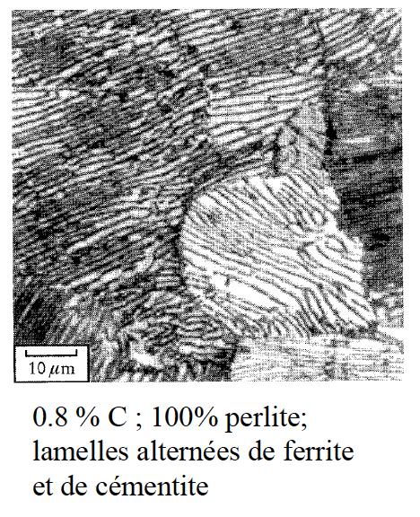 Microstructures d alliages Fe-C Perlite