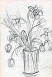 Narcisses et Tulipes [354] 