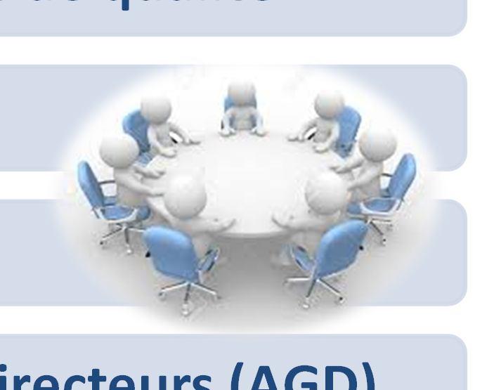des Directeurs (AGD) Le Comité de Direction
