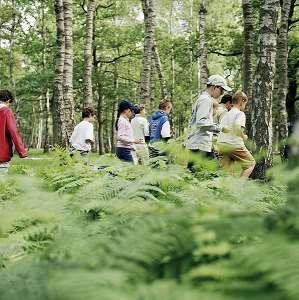 Action 10 Informer sur la forêt et ses enjeux locaux les divers