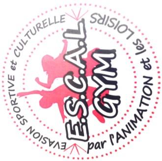 Fort de plus de 10 années d expérience, le Comité Départemental de Seine-Maritime de Gymnastique s associe au Comité du Calvados pour crée les Camps d Eté GR.