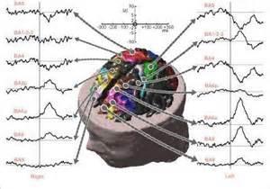 Placement des Electrodes Les différents régions du cerveau sont liés aux différents fonctions. Les électrodes sont placées pour échantillonner ces différentes régions.